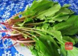 凉拌萝卜缨的做法图解1