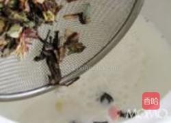 强力薄荷牛奶饮的做法图解3