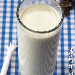 强力薄荷牛奶饮的做法[图]