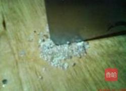 鲜香水饺的做法图解4