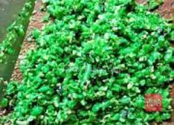 豇豆馅水煎包的做法图解4