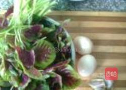 苋菜鸡蛋馅饼的做法图解2