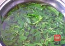 苋菜炒鸡蛋的做法图解3