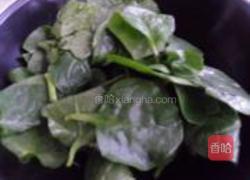 蒜蓉木耳菜的做法图解5