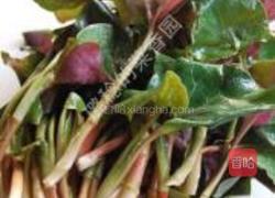 凉拌折耳根的做法图解1