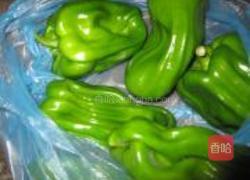 辣辣椒炒蛤的做法图解2