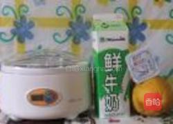 木瓜酸奶的做法图解1
