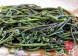 炒蕨菜的做法图解1