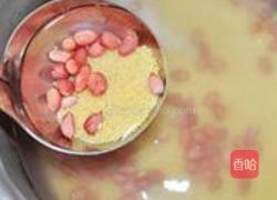 海参小米粥的做法图解1