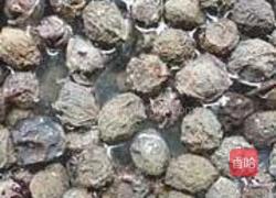 乌梅山楂冻的做法图解4