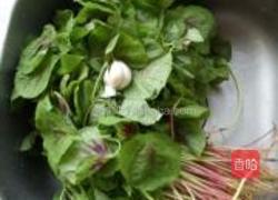 蚝香苋菜的做法图解1