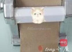 荞麦凉面的做法图解6