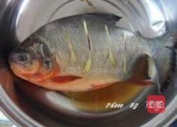 红烧鳊鱼的做法图解4