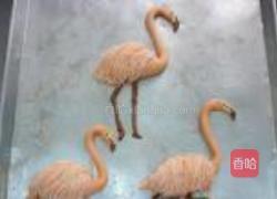 火烈鸟的做法图解9