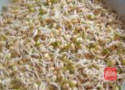 泡发绿豆芽的做法图解11