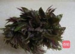 香椿保存法的做法图解1