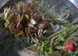 香椿保存法的做法图解2