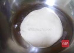 鸡肉披萨的做法图解1