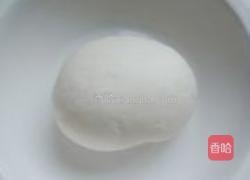 白菜猪肉锅贴的做法图解9