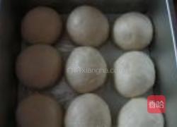 鲜奶QQ小面包的做法图解7