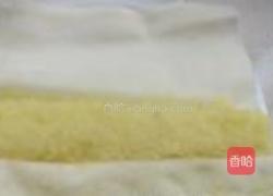 脆皮春卷的做法图解4