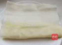 脆皮春卷的做法图解5