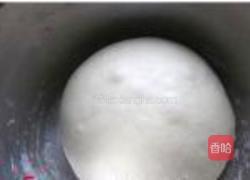 花式椰蓉面包的做法图解9