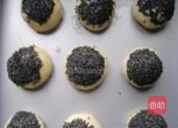 黑芝麻餐包的做法图解10