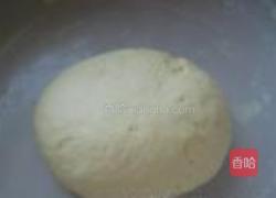 锅贴的做法图解5