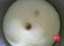 玉米粒燕麦馒头的做法图解6