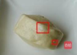 馒头制作注意事项的做法图解4