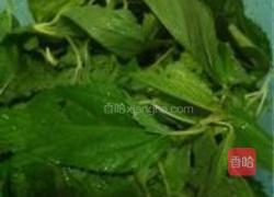 蒜香麻叶的做法图解1