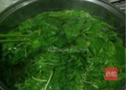 蒜香麻叶的做法图解3