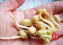 自发黄豆芽的做法图解10