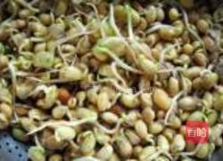 自发黄豆芽的做法图解13