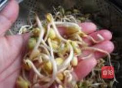 自发黄豆芽的做法图解14