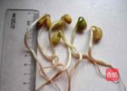 自发黄豆芽的做法图解15