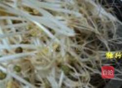 自发绿豆芽的做法图解10