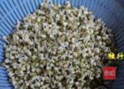 自发绿豆芽的做法图解7
