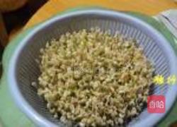自发绿豆芽的做法图解8