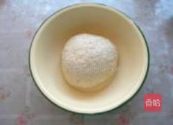 全麦葵仁小面包的做法图解8