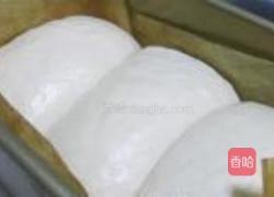 奶香吐司的做法图解8