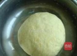 白萝卜肉包的做法图解6