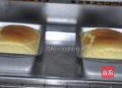 乳酪蛋糕的做法图解8