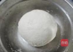 菜猪肉包的做法图解3