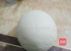 榨菜虾干猪肉包的做法图解5