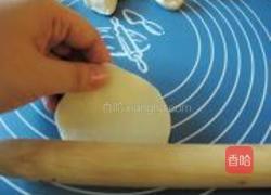 圆白菜鲜肉锅贴的做法图解18