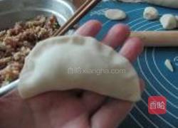 圆白菜鲜肉锅贴的做法图解20