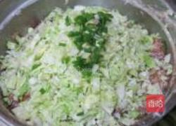 圆白菜鲜肉锅贴的做法图解7