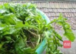 荠菜粑粑的做法图解1